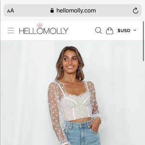 ISO white mesh hello molly crop top